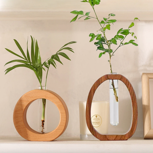 What Is a Propagation Vase? - Onyx Decor