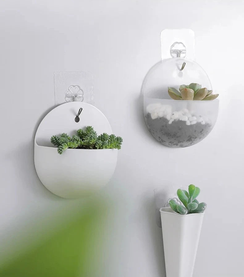 Zoe Hydroponic Wall Planter - Onyx Decor