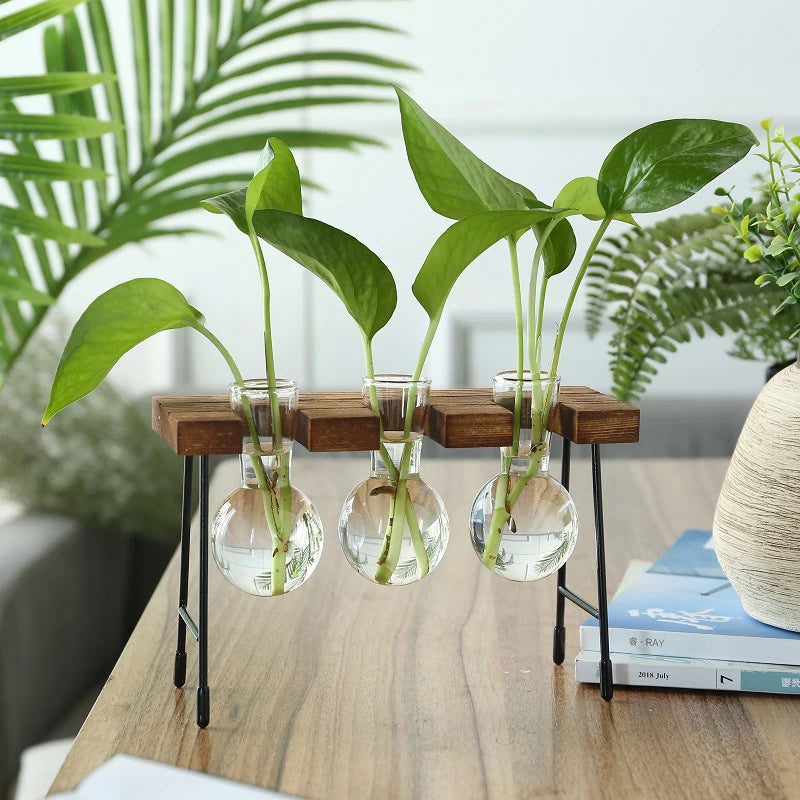 Terra Wooden Frame Propagation Vase - Onyx Decor