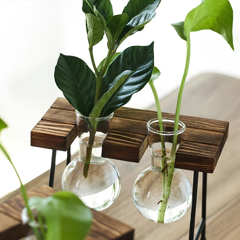 Terra Wooden Frame Propagation Vase - Onyx Decor