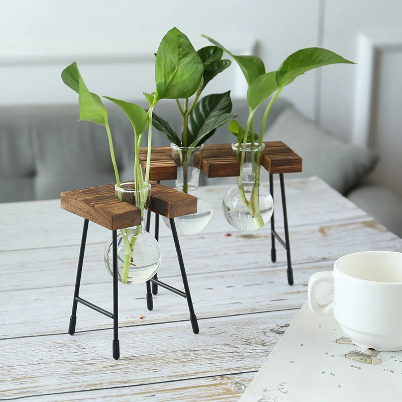 Terra Wooden Frame Propagation Vase - Onyx Decor