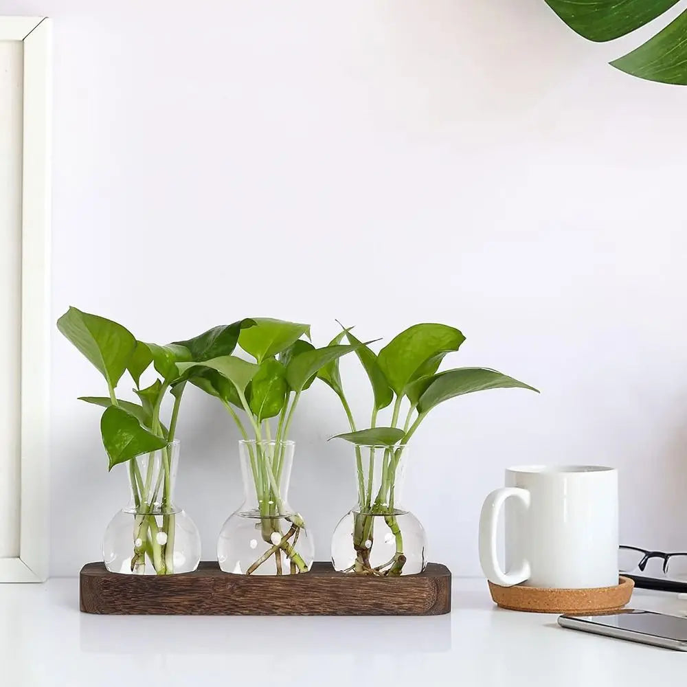 Verde Propagation Vase Set - Onyx Decor