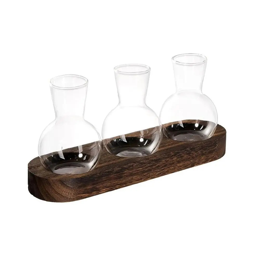 Verde Propagation Vase Set - Onyx Decor