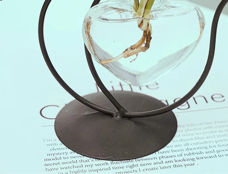 Sophia Hydroponic Glass Heart Vase - Onyx Decor