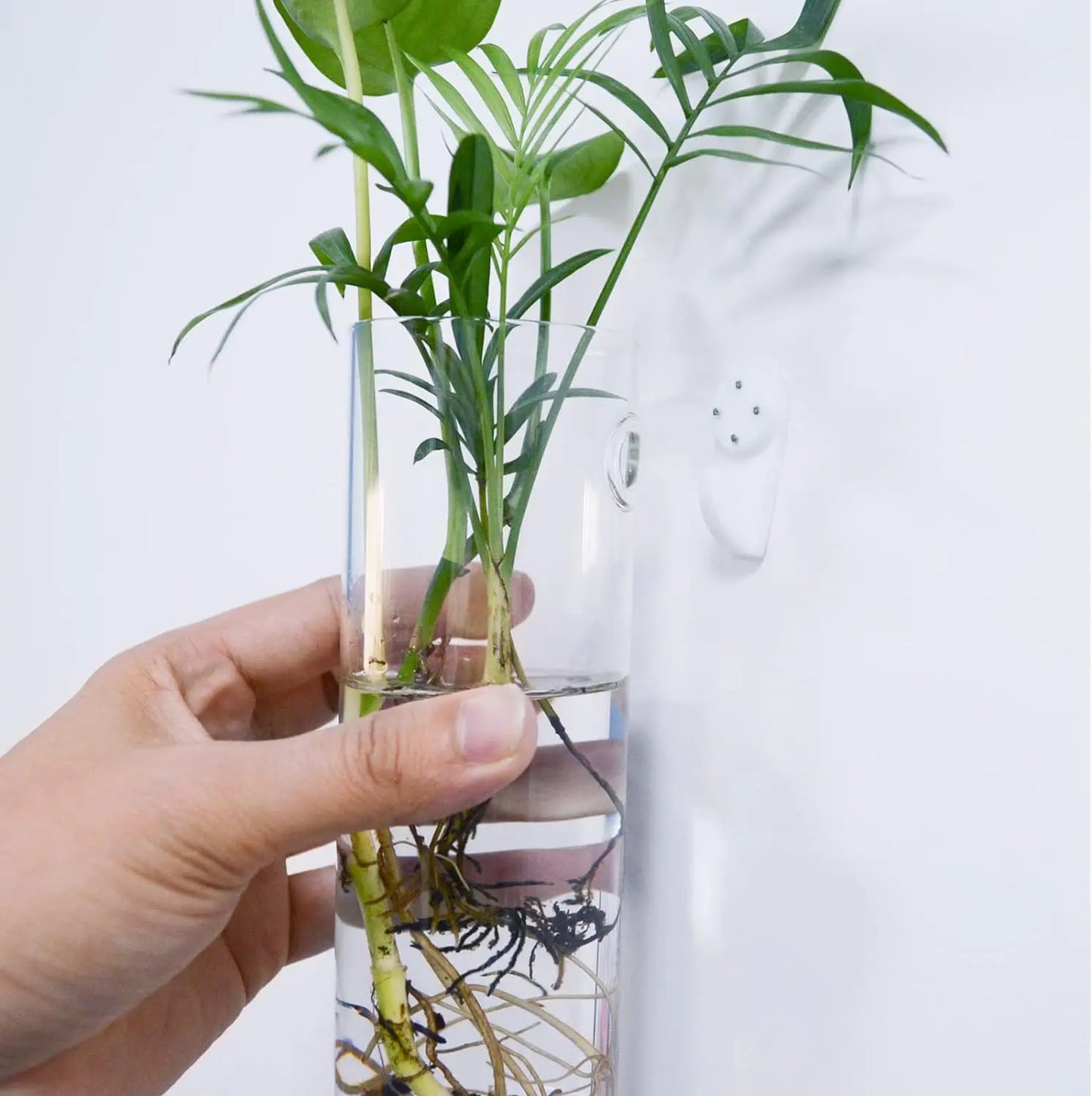 Cora Glass Wall Vase