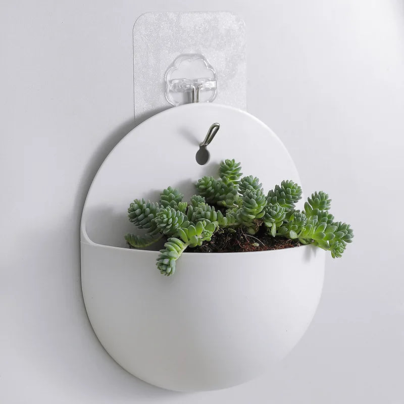 Zoe Hydroponic Wall Planter - Onyx Decor