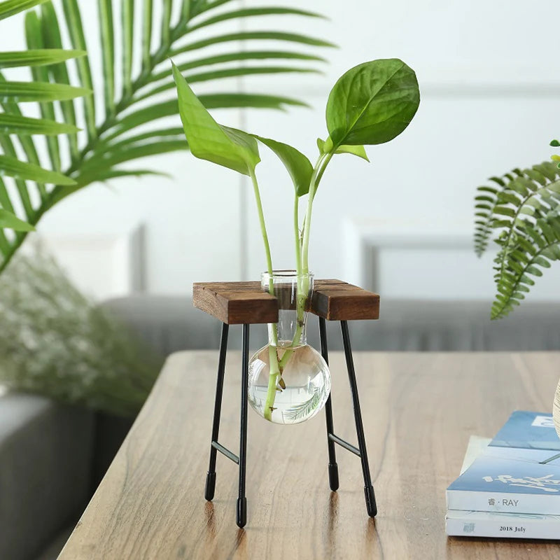 Terra Wooden Frame Propagation Vase - Onyx Decor