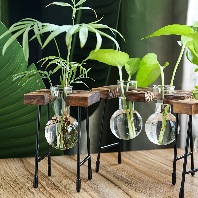 Terra Wooden Frame Propagation Vase - Onyx Decor