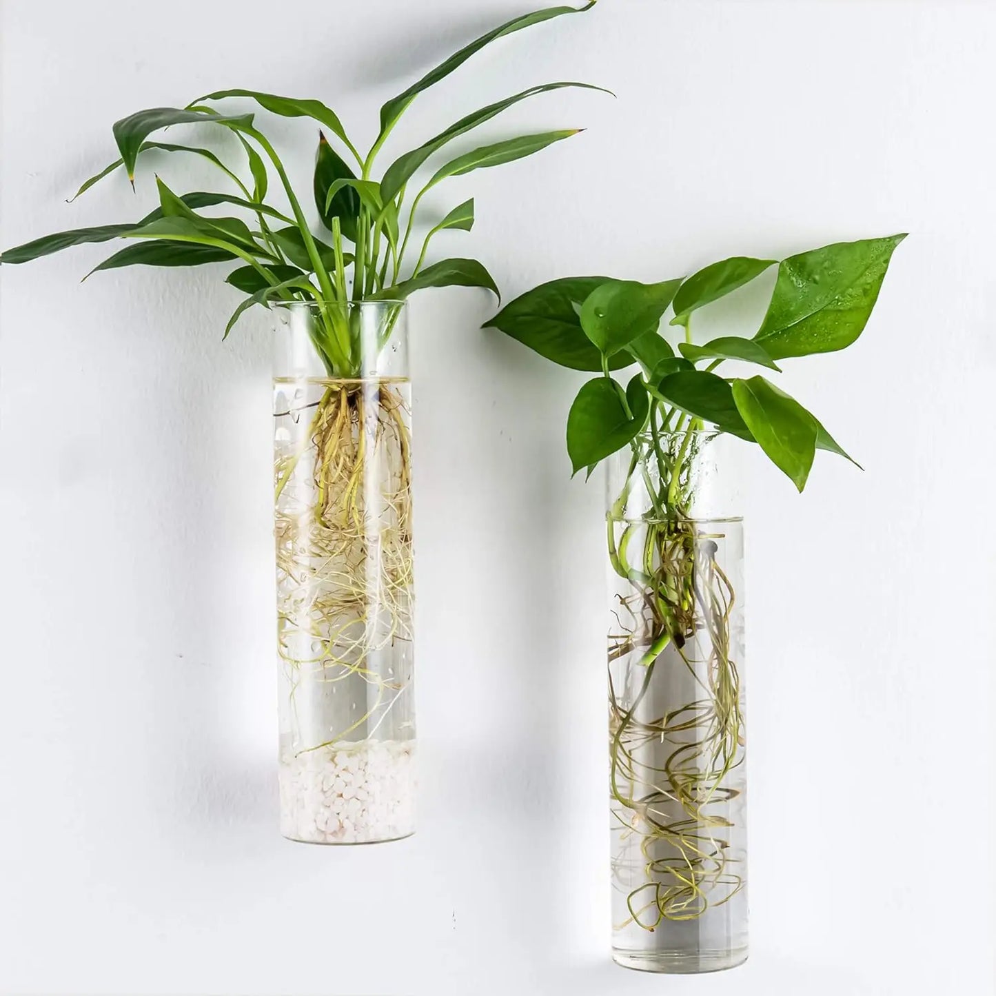 Cora Glass Wall Vase
