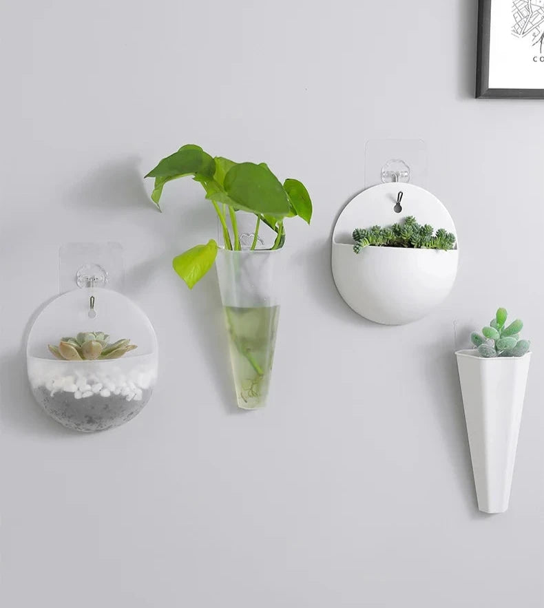 Zoe Hydroponic Wall Planter - Onyx Decor