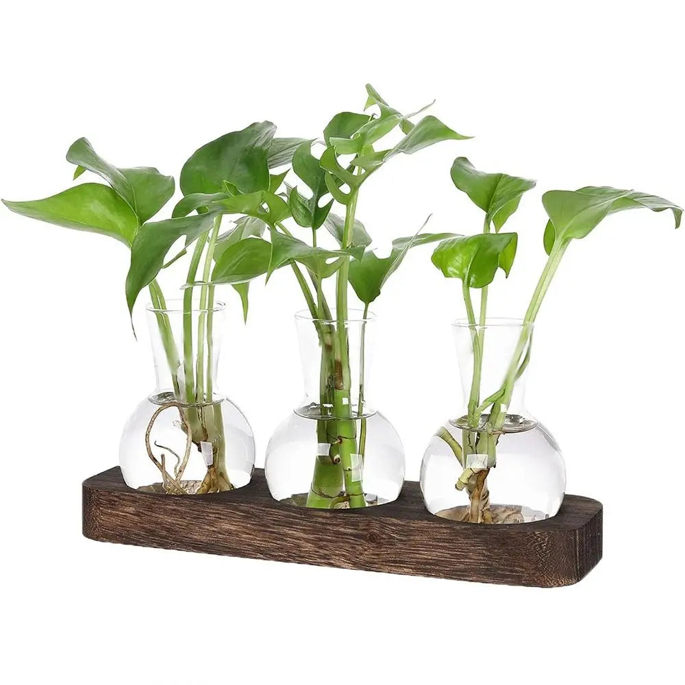 Verde Propagation Vase Set - Onyx Decor