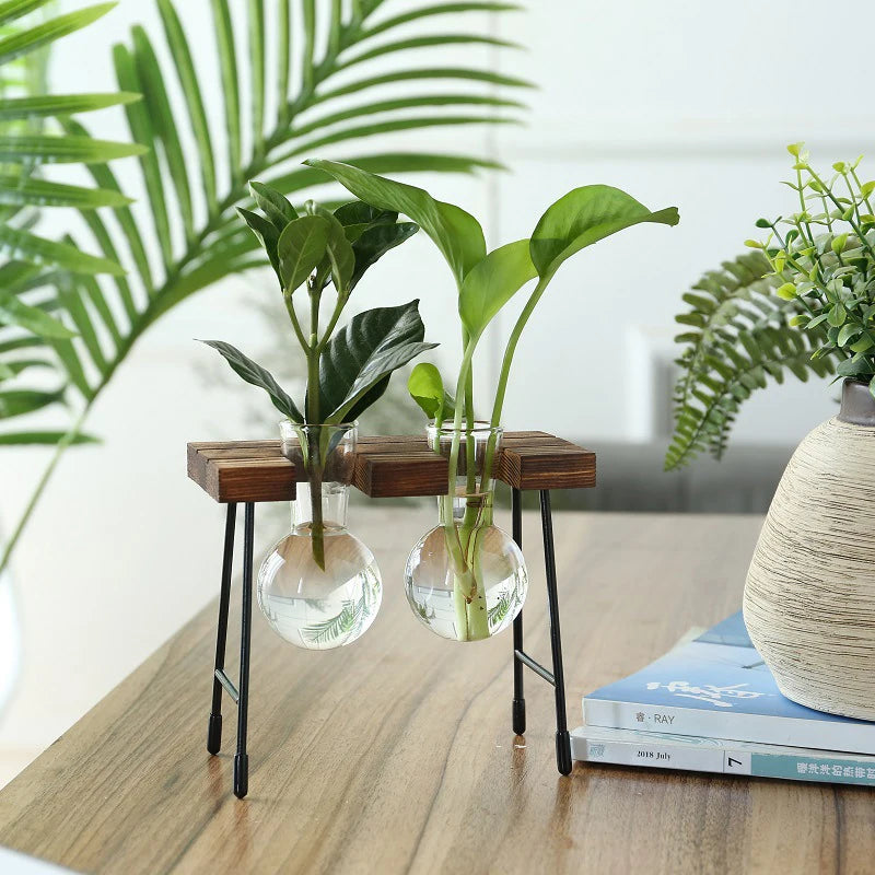 Terra Wooden Frame Propagation Vase - Onyx Decor