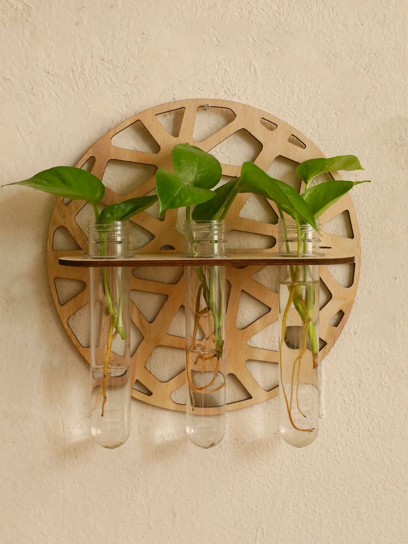 Timberline Propagation Vase - Onyx Decor