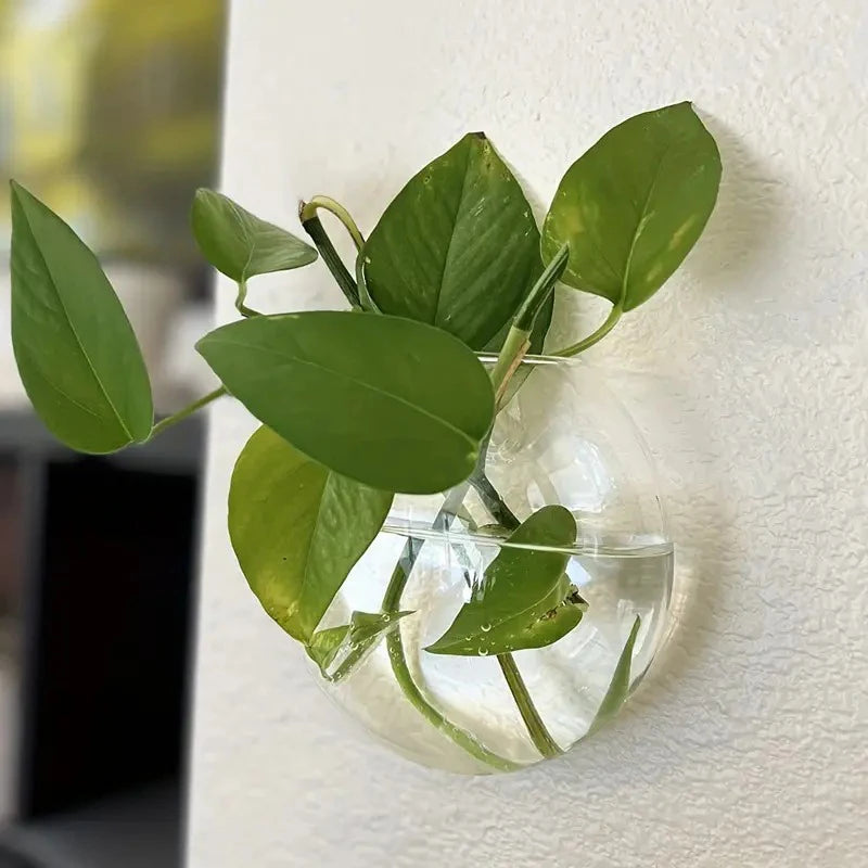 Sophia Wall Planter Glass Terrarium - Onyx Decor
