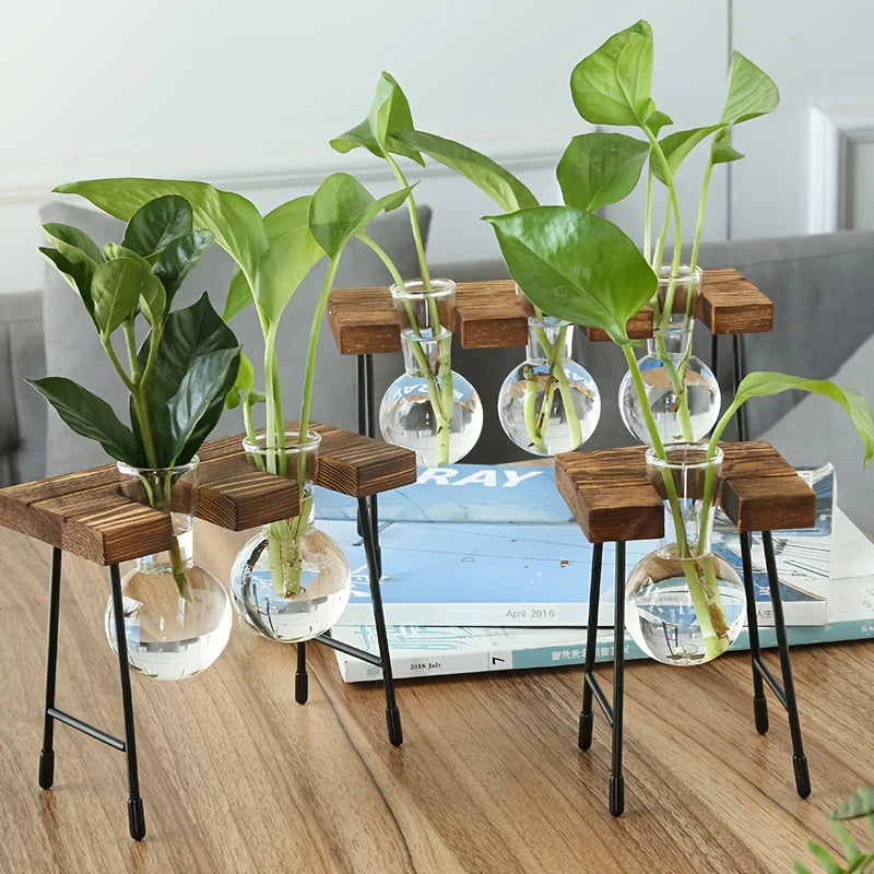 Terra Wooden Frame Propagation Vase - Onyx Decor
