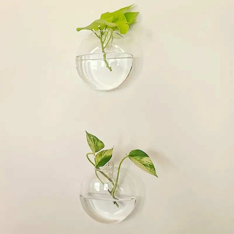 Sophia Wall Planter Glass Terrarium - Onyx Decor