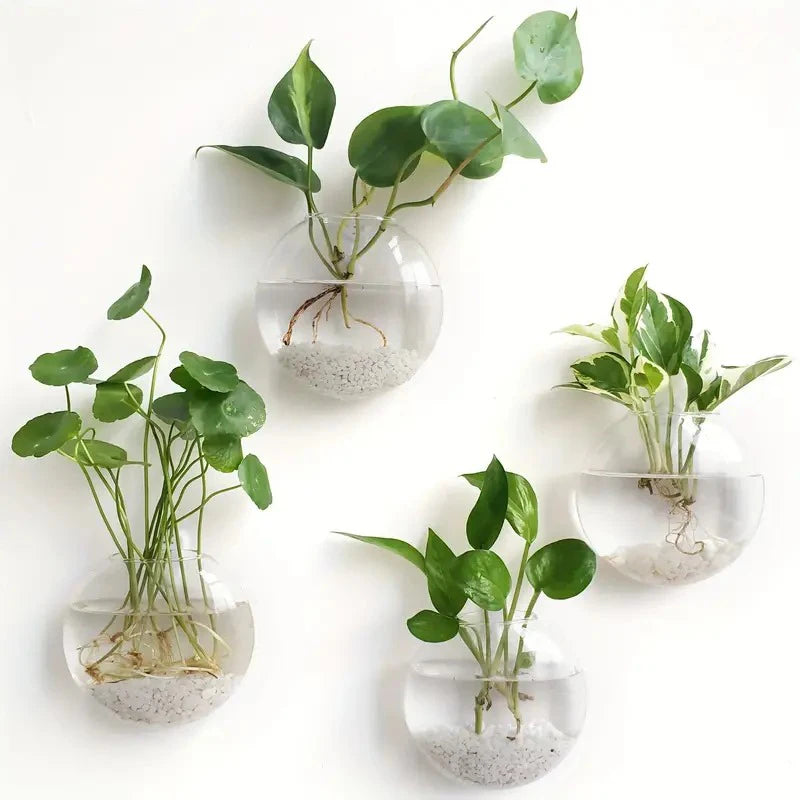 Sophia Wall Planter Glass Terrarium - Onyx Decor