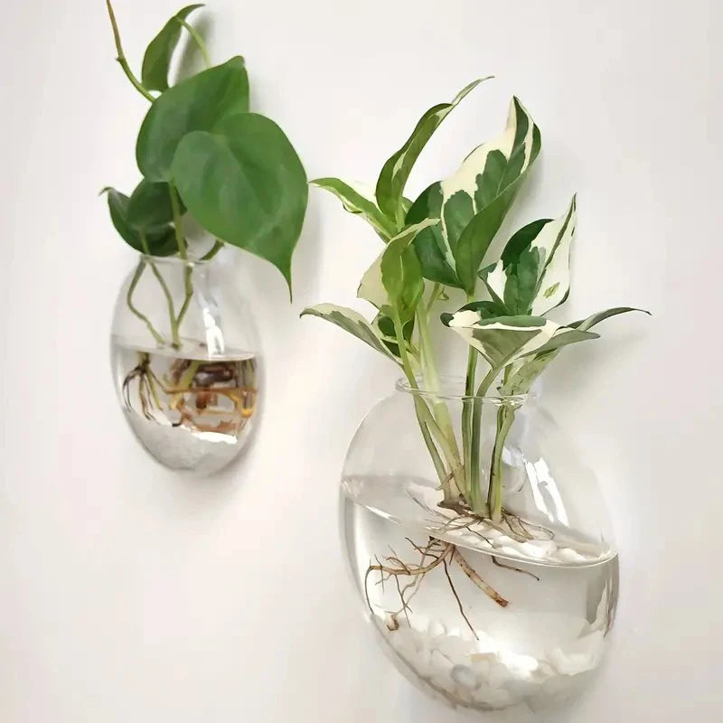 Sophia Wall Planter Glass Terrarium - Onyx Decor