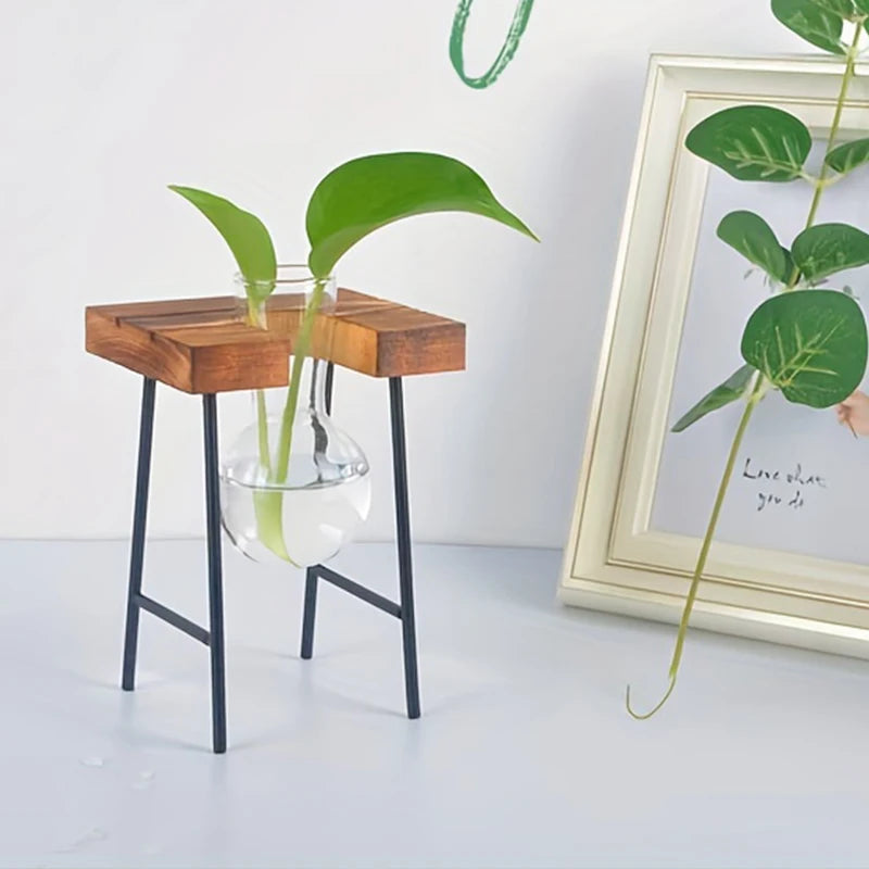 Terra Wooden Frame Propagation Vase - Onyx Decor