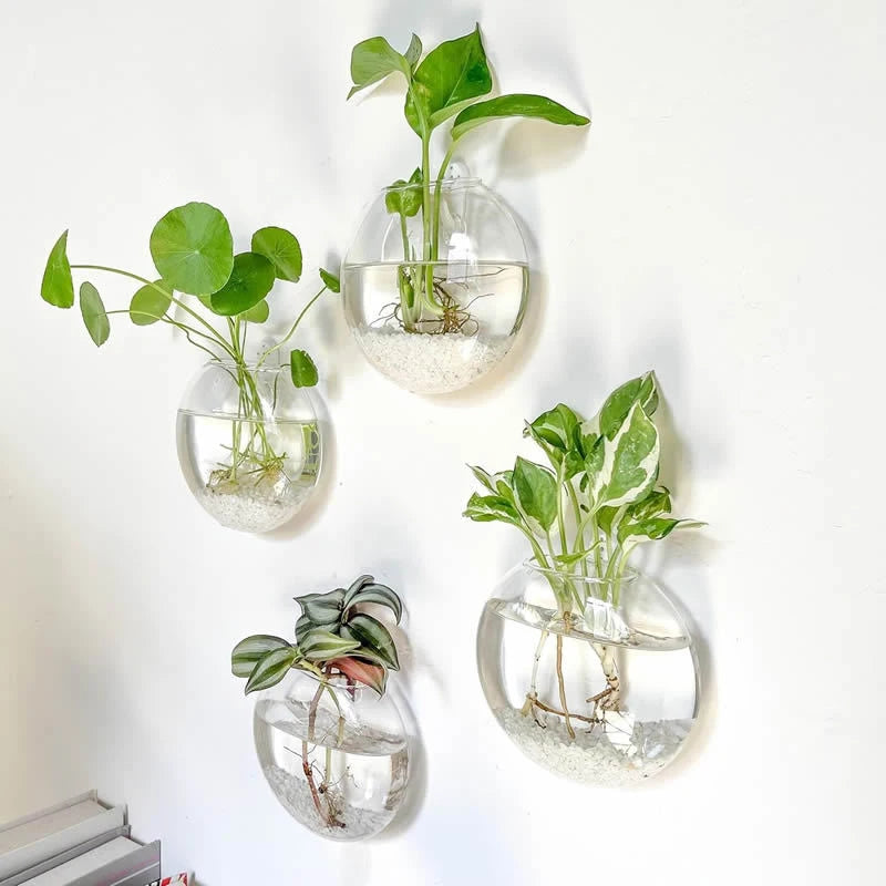 Sophia Wall Planter Glass Terrarium - Onyx Decor