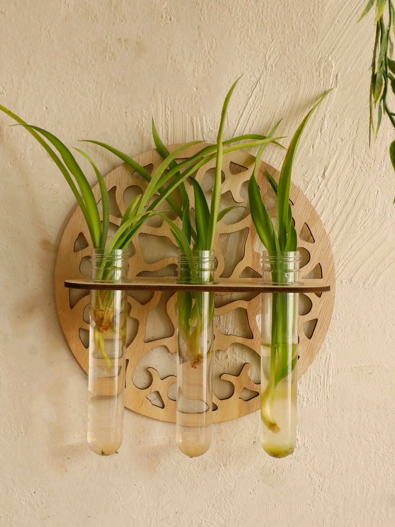 Timberline Propagation Vase - Onyx Decor