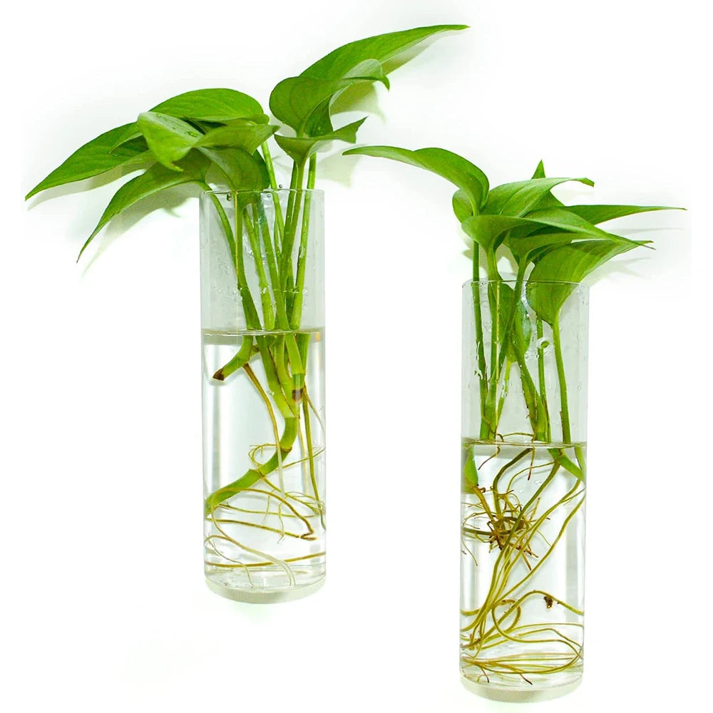 Cora Glass Wall Vase