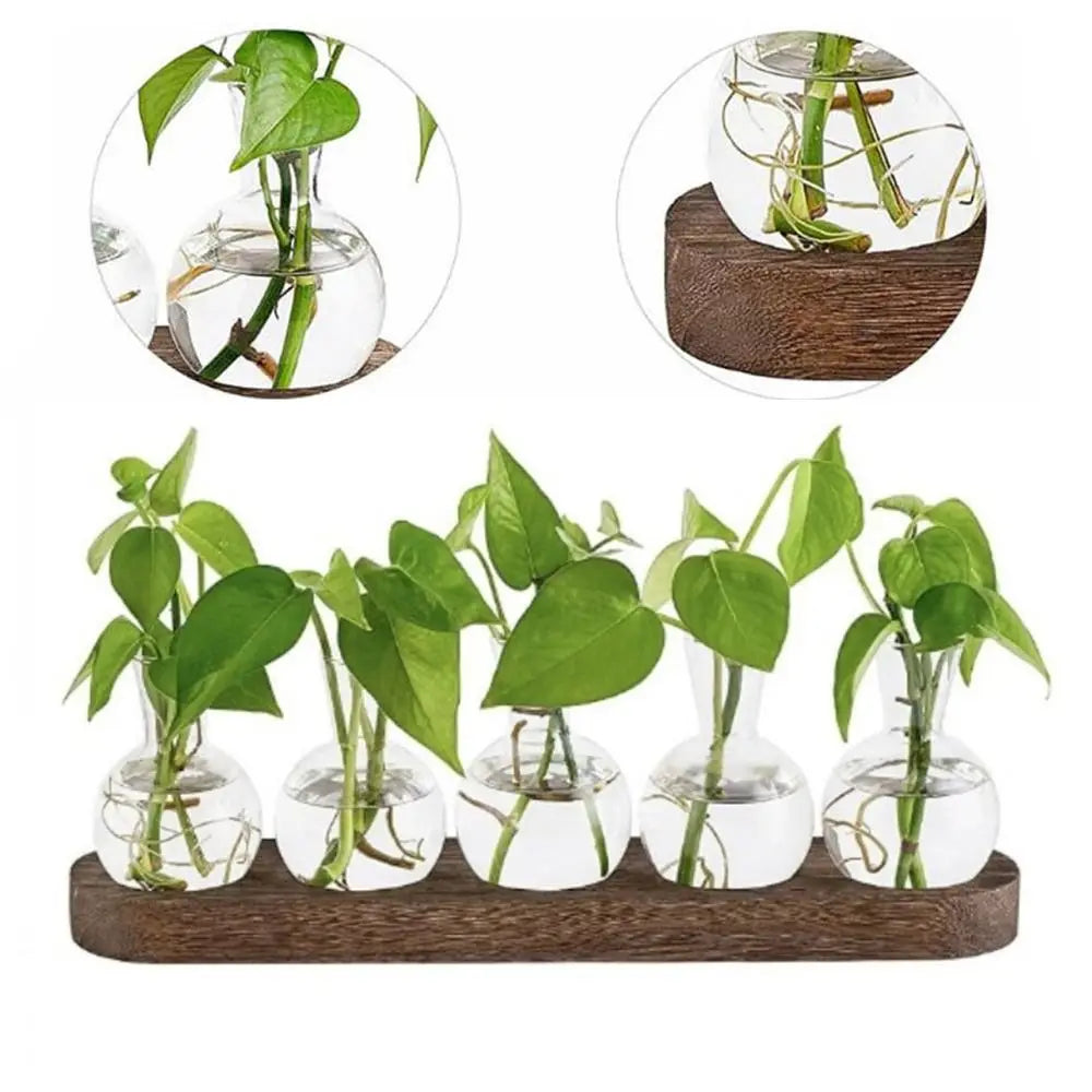Verde Propagation Vase Set - Onyx Decor
