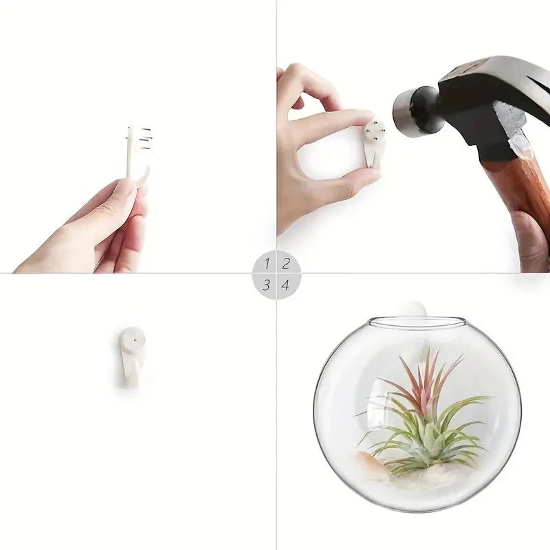 Sophia Wall Planter Glass Terrarium - Onyx Decor