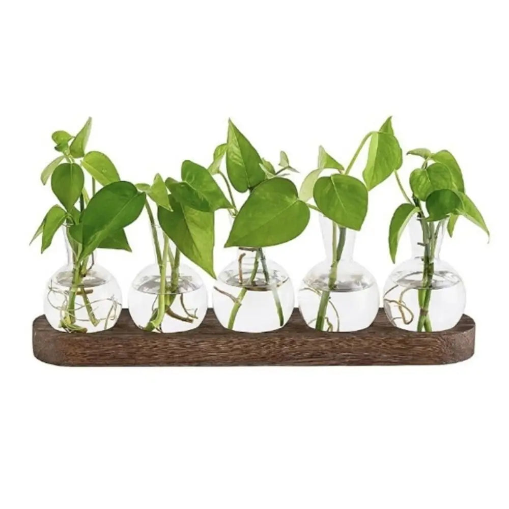 Verde Propagation Vase Set - Onyx Decor