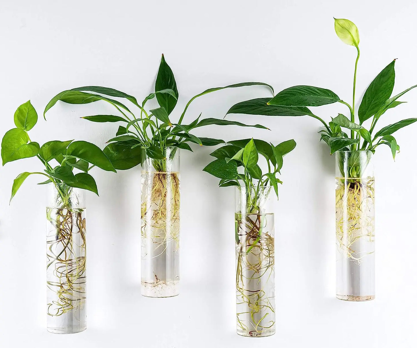 Cora Glass Wall Vase