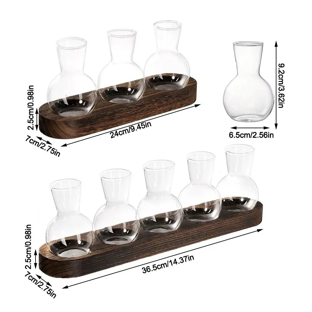 Verde Propagation Vase Set - Onyx Decor