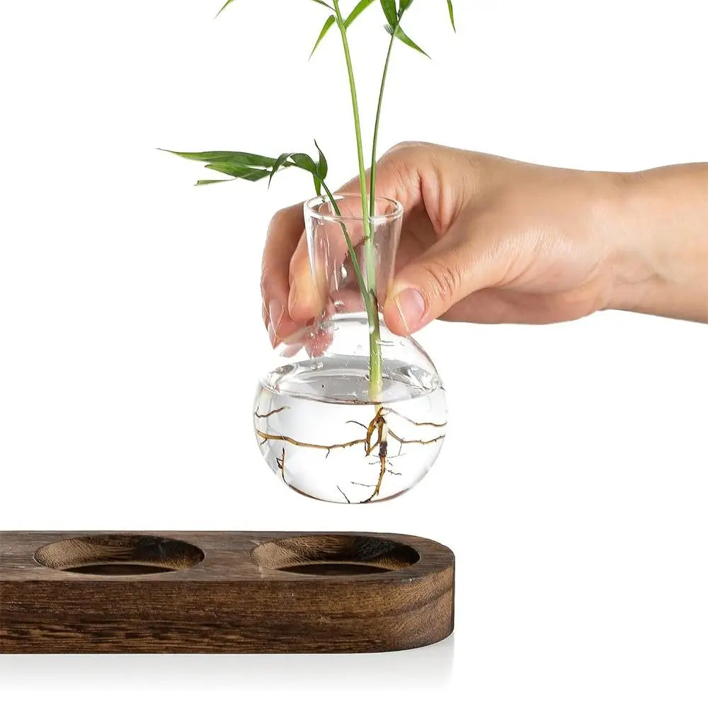 Verde Propagation Vase Set - Onyx Decor