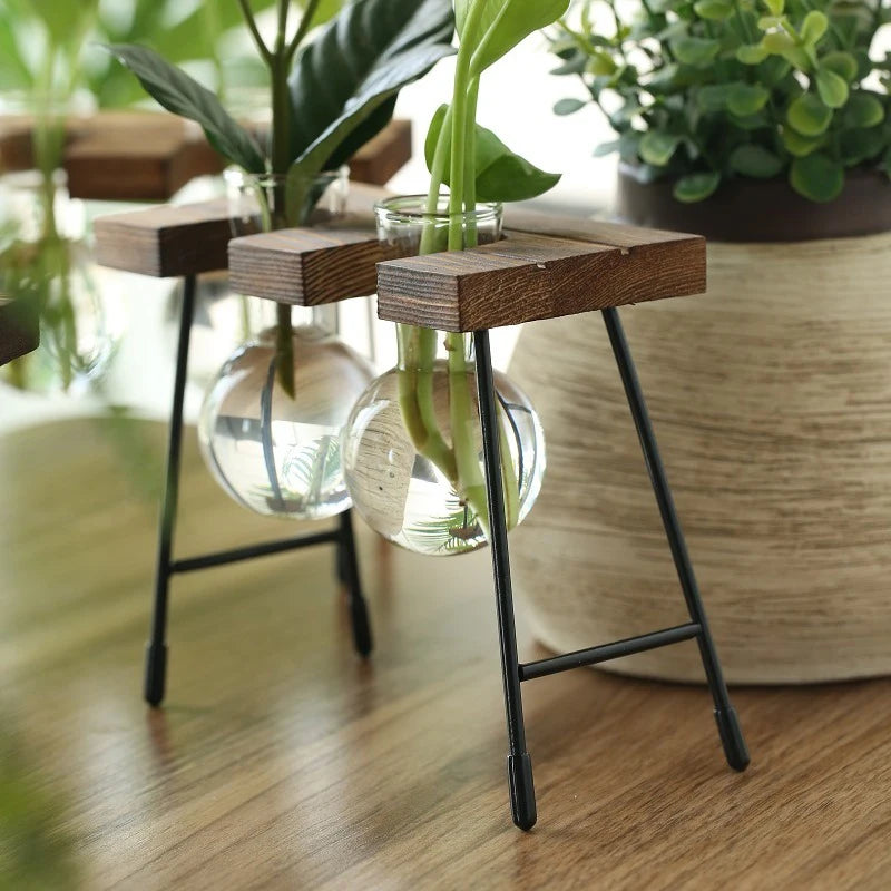 Terra Wooden Frame Propagation Vase - Onyx Decor