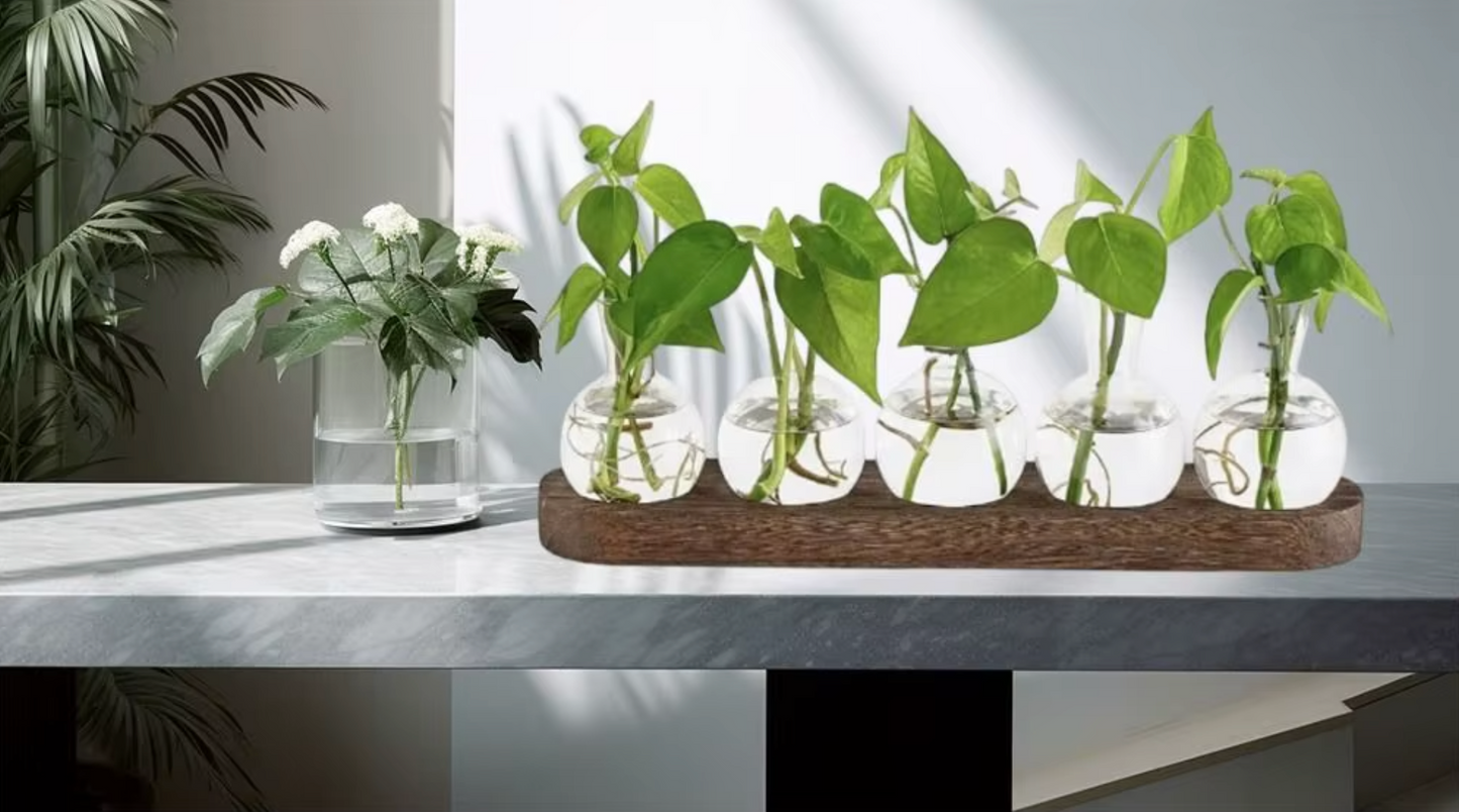 Verde Propagation Vase Set - Onyx Decor