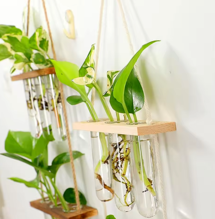 Lena Hanging Propagation Vase - Onyx Decor