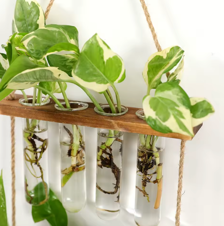 Lena Hanging Propagation Vase - Onyx Decor
