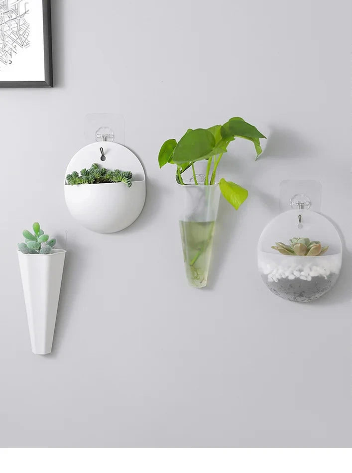 Zoe Hydroponic Wall Planter - Onyx Decor