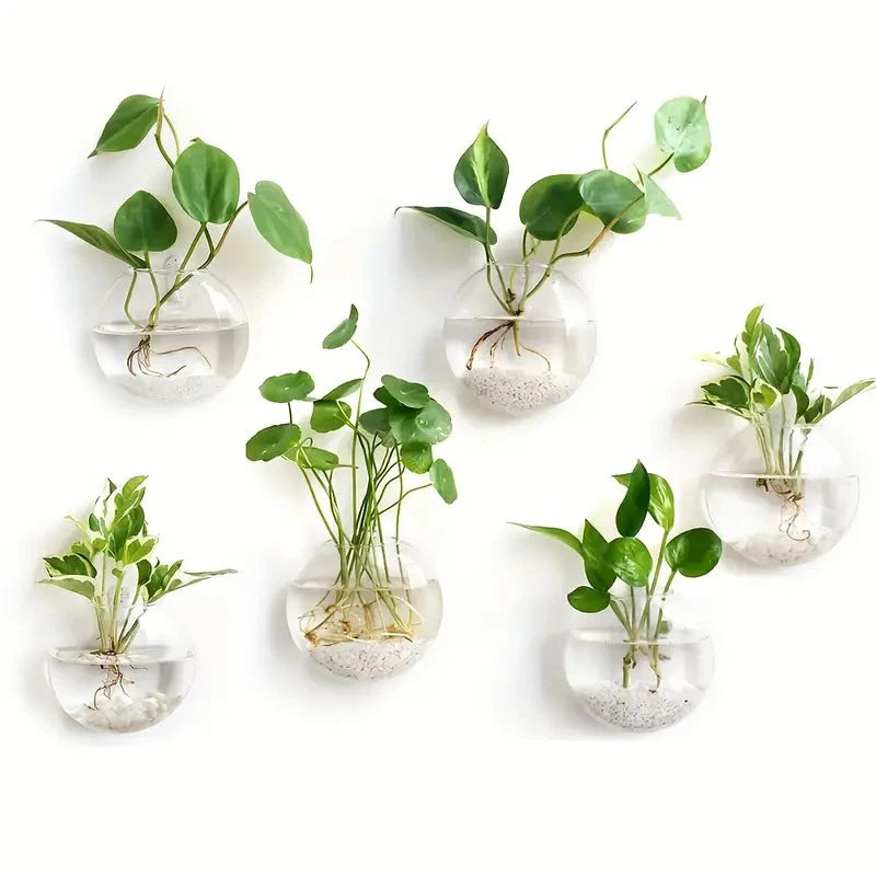 Sophia Wall Planter Glass Terrarium - Onyx Decor