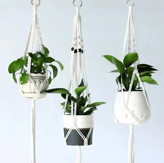 How to Incorporate Hanging Plants into Your Indoor Space - Onyx Decor