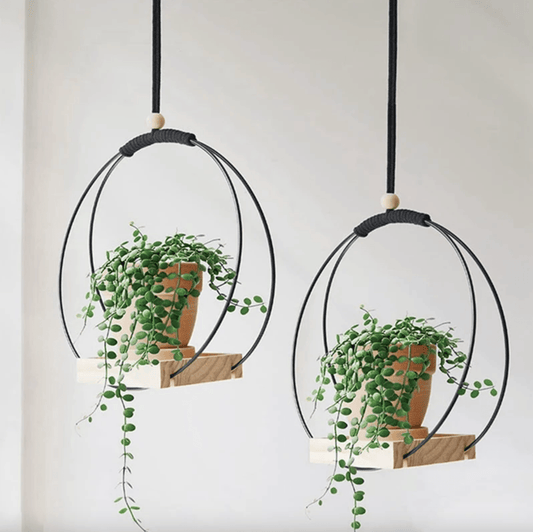 The Beauty of Plant Stands and Hanging Planters - Onyx Decor