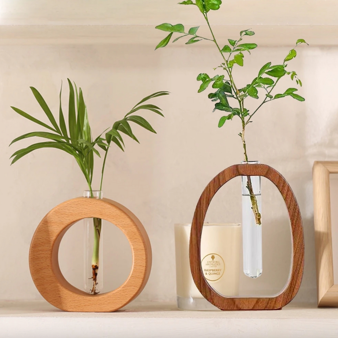 What Is a Propagation Vase? - Onyx Decor