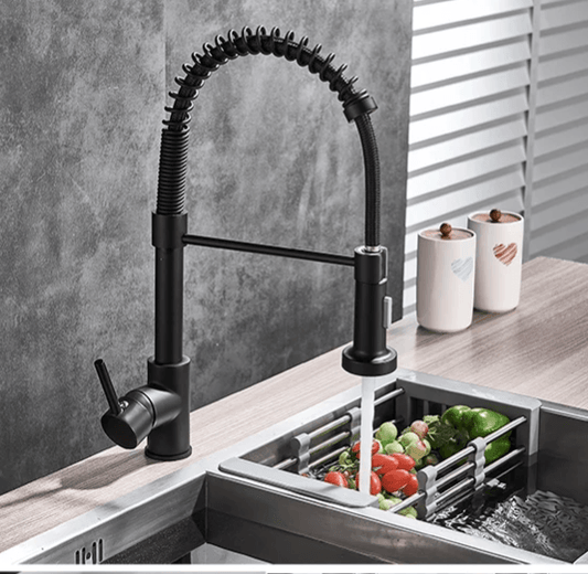 Apex Pro Spring Coil Kitchen Faucet - Onyx Decor