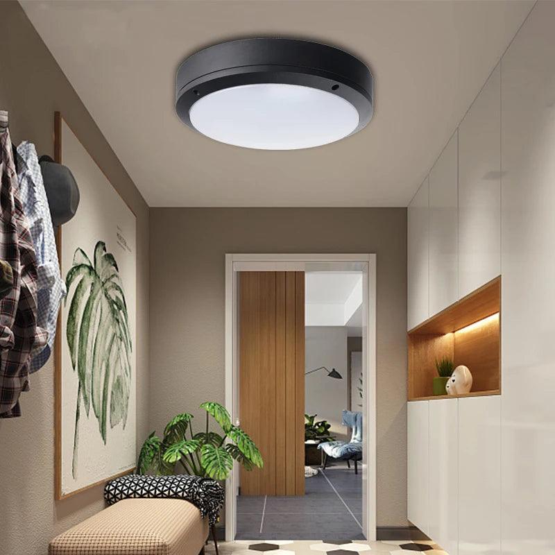 Alden - Modern Outdoor Ceiling Light - Onyx Decor