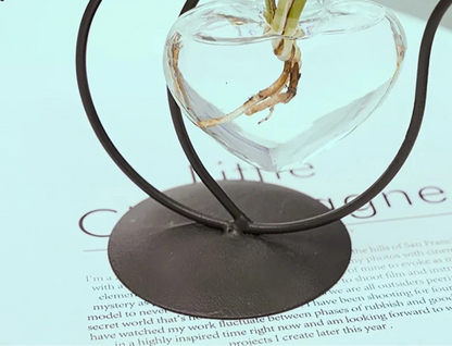 Sophia Hydroponic Glass Heart Vase - Onyx Decor