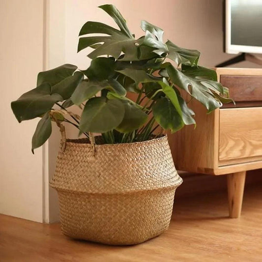 Coveview Woven Basket Planter - Onyx Decor