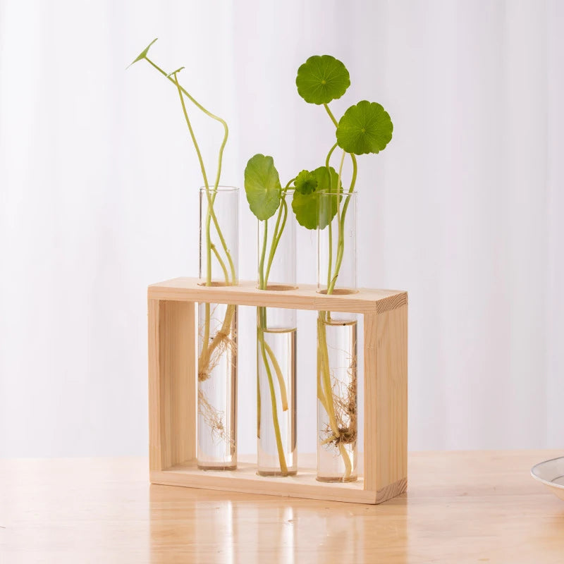 Eli Wooden Frame Hydroponic Propagation Vase - Onyx Decor
