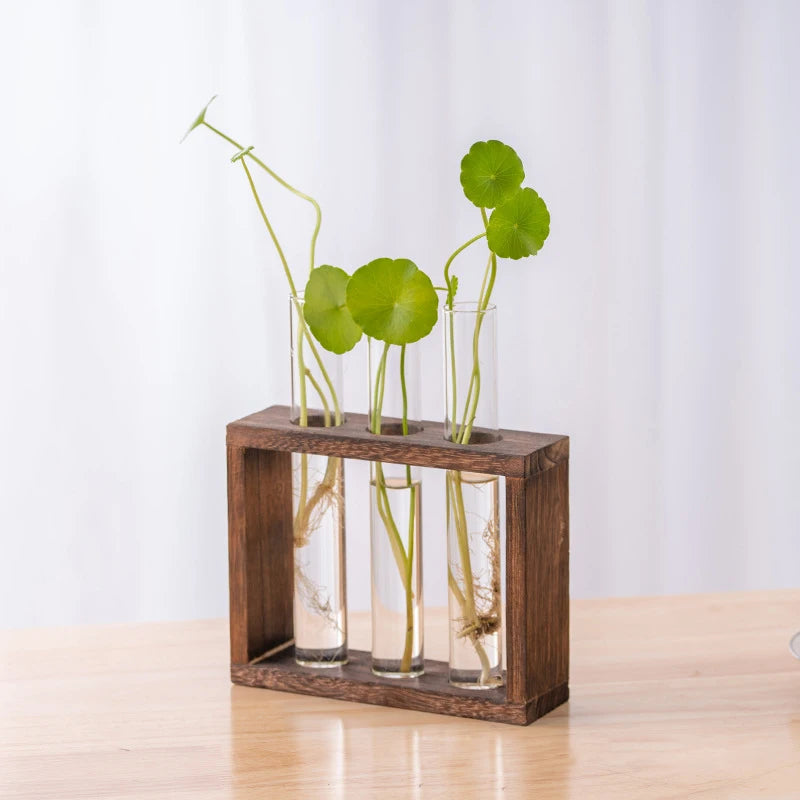 Eli Wooden Frame Hydroponic Propagation Vase - Onyx Decor