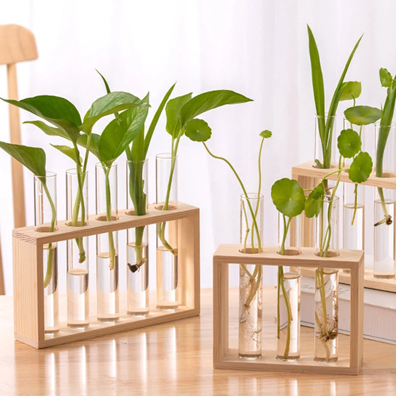 Eli Wooden Frame Hydroponic Propagation Vase - Onyx Decor