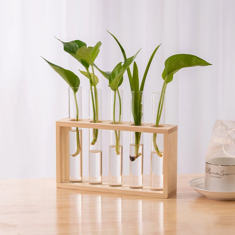 Eli Wooden Frame Hydroponic Propagation Vase - Onyx Decor