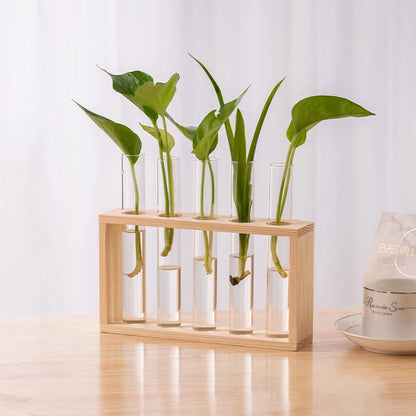 Eli Wooden Frame Hydroponic Propagation Vase - Onyx Decor